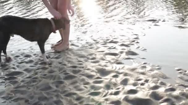 Primitiva kvinna leker med en hund — Stockvideo