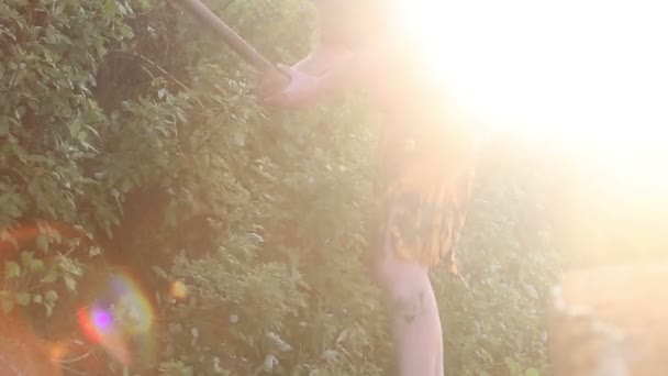Urmensch findet Kokosnuss in der Vegetation — Stockvideo