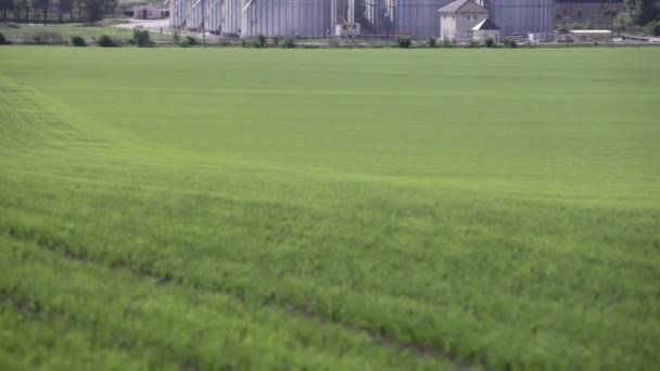 Granary near the green field — Stock Video