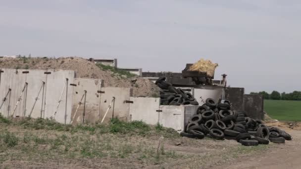 Excavator loading straw — Stock Video