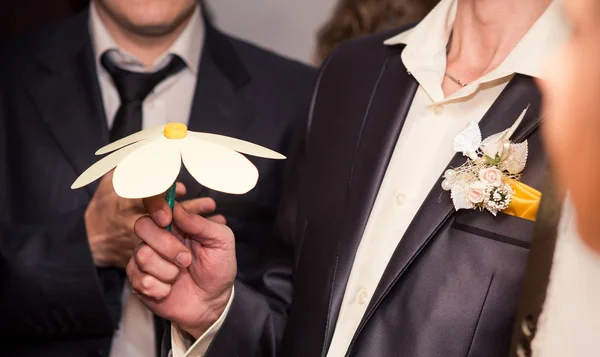 Camomile in groom's hand — Stock Photo, Image