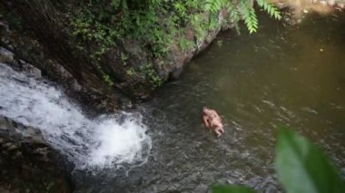 мами і дитини в водоспад