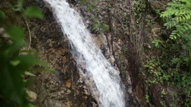 şelale tropikal ormanda