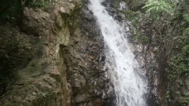 şelale tropikal ormanda