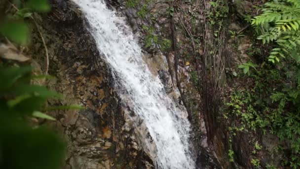 Waterval in de tropische jungle — Stockvideo