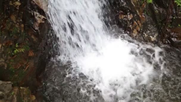 Waterfall in the tropical jungle — Stock Video