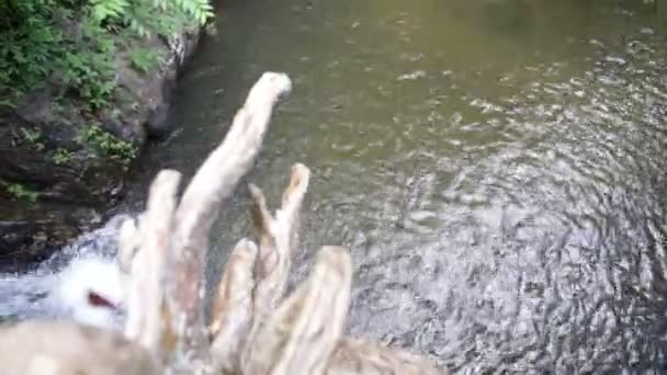 Waterfall in the tropical jungle — Stock Video