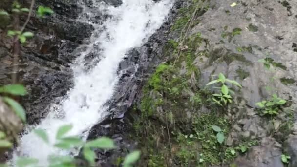 熱帯のジャングルの滝 — ストック動画