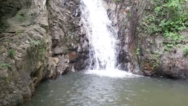 Waterfall in the tropical jungle — Stock Video