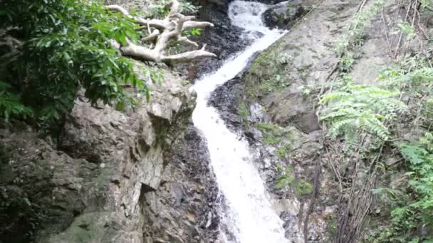 Wasserfall im tropischen Dschungel — Stockvideo