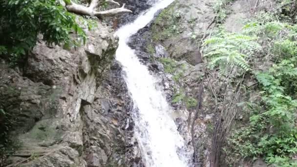 Waterfall in the tropical jungle — Stock Video