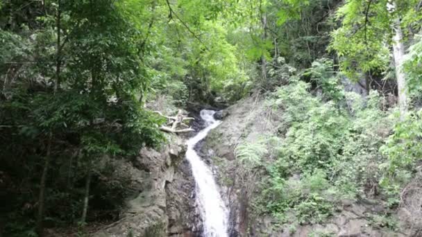 Waterfall in the tropical jungle — Stock Video