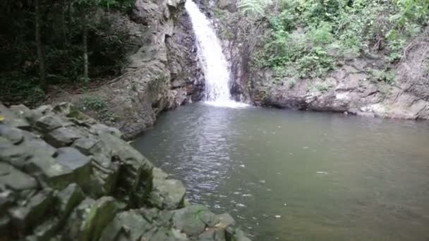 Waterval in de tropische jungle — Stockvideo