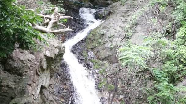 Wodospad w tropikalnej dżungli — Wideo stockowe