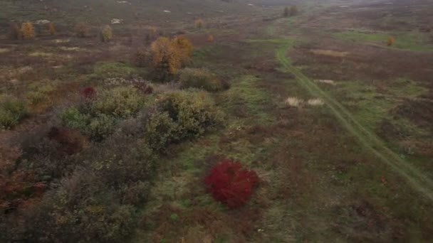 Campo desde helicóptero — Vídeo de stock