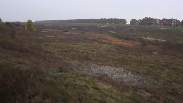 Campo desde helicóptero — Vídeo de stock