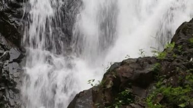 şelale tropikal ormanda