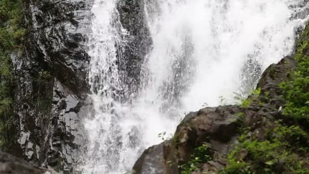 Wasserfall im tropischen Dschungel — Stockvideo