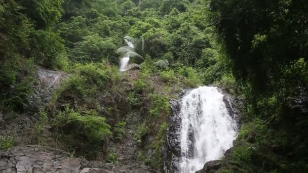 在热带丛林中的瀑布 — 图库视频影像