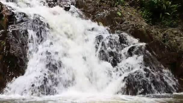 Waterfall in the tropical jungle — Stock Video