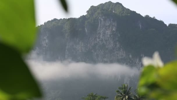 Wolken schweben über tropischen Bergen — Stockvideo