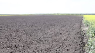 taze sürülmüş siyah toprak alanı