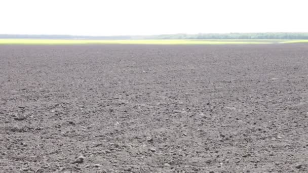 Campo de tierra negra recién arado — Vídeo de stock