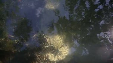 kökleri arasında su akar