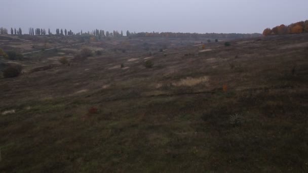 Pastagens estrada de terra — Vídeo de Stock