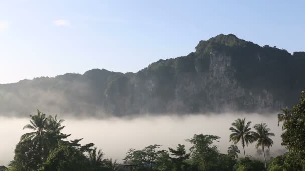 Nebel in den Bergen — Stockvideo