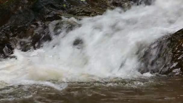 Cascata nella giungla — Video Stock