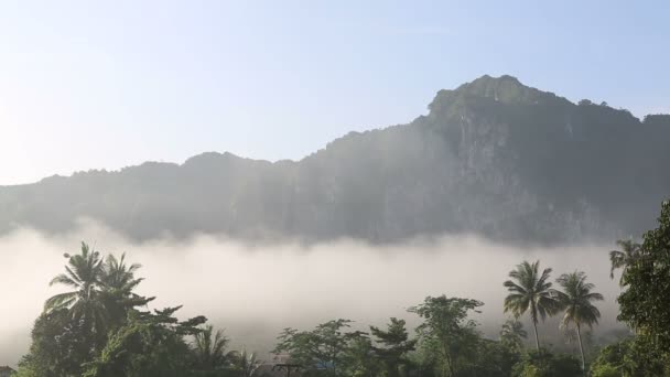 Туман в горах — стоковое видео