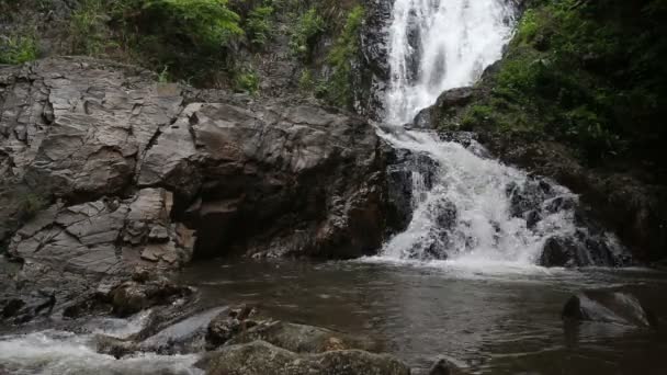 丛林中的瀑布 — 图库视频影像