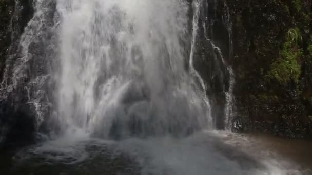 Водоспад у джунглі — стокове відео