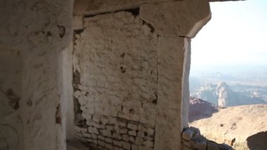 Taş duvara oturan maymun
