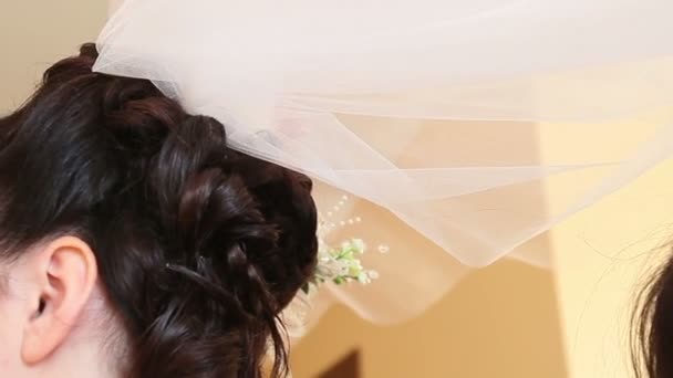 Bride hold veil — Stock Video