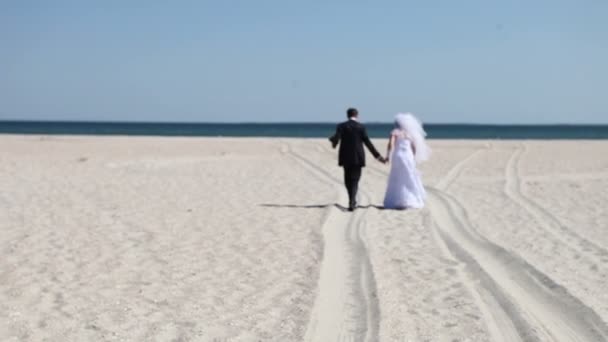 Bröllopsparet till sjöss — Stockvideo