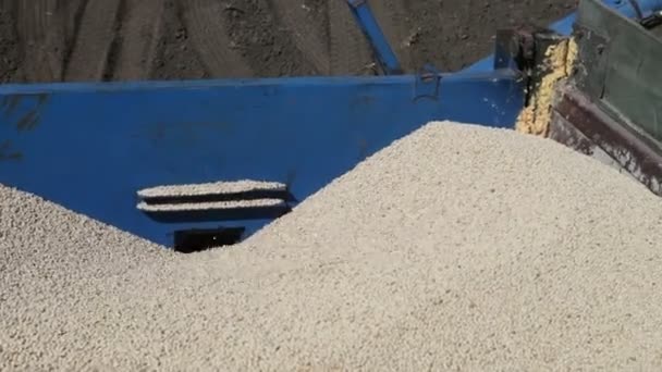 Зерно вылилось из грузовика — стоковое видео