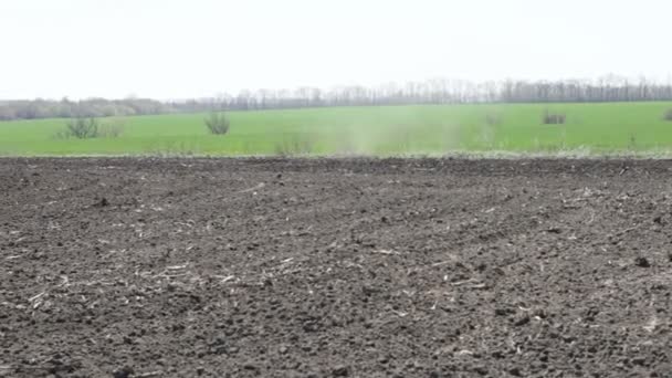 Viento en el campo — Vídeos de Stock