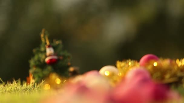 Рождественская елка среди гирлянд — стоковое видео