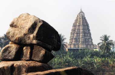 Hampi Türkiye
