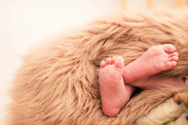 Nohy novorozence — Stock fotografie