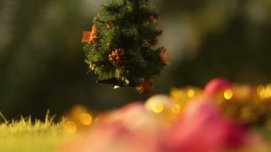 Kız Noel ağacı koyar