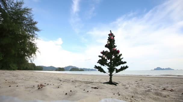 Kerstboom op strand — Stockvideo