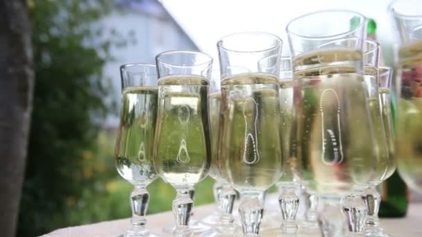 Glazen met champagne — Stockvideo