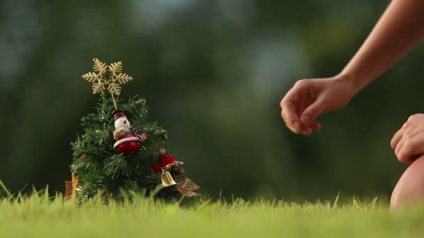 Fata cu pomul de Crăciun — Videoclip de stoc