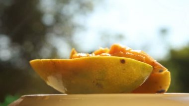 Mango plaka üzerinde döndürme