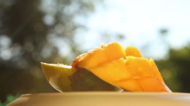 Mango plaka üzerinde döndürme