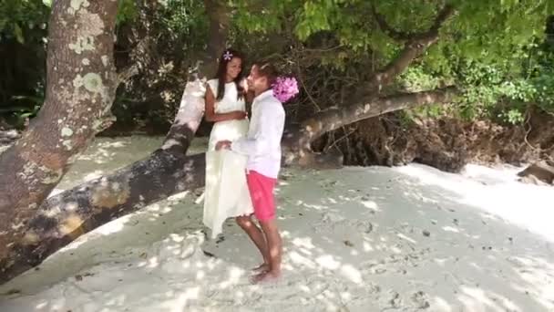 Par på tropisk ö — Stockvideo