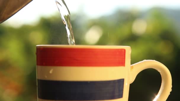 Wasser in Tasse gegossen — Stockvideo